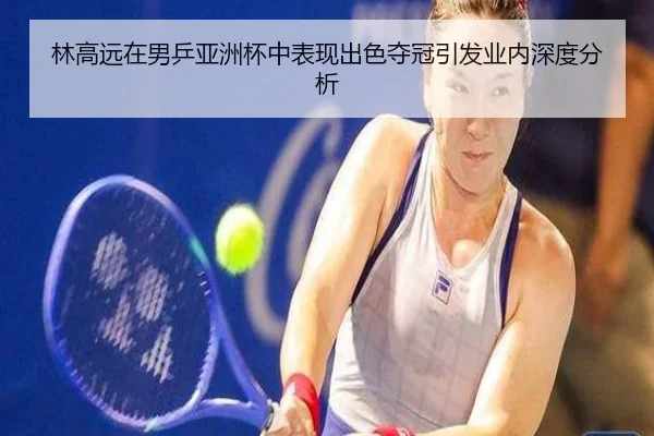 林高远在男乒亚洲杯中表现出色夺冠引发业内深度分析